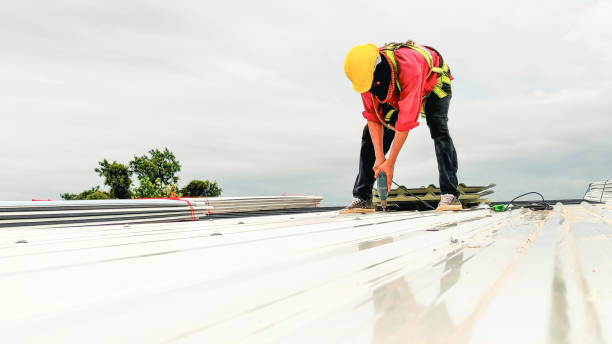 Best Green or Eco-Friendly Roofing Solutions  in Republic, WA